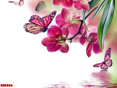 File tranh Tranh trang trí Spa làm đẹp KSPA96 (ảnh gốc) cho in ấn kỹ thuật số