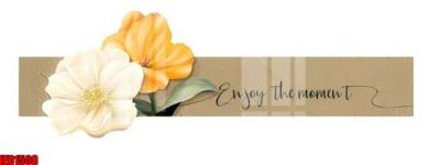 File in trần File in tranh decor gắn cắt led LED1508 (bản gốc) đại dương