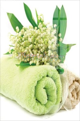 File PSD in ấn Tranh trang trí Spa làm đẹp MP137 (chất lượng cao)