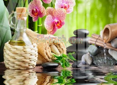 Hình ảnh gốc Tranh trang trí Spa làm đẹp MP156 (để in khổ lớn)