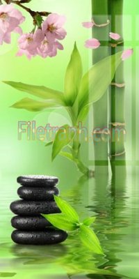 File gốc Tranh trang trí Spa làm đẹp MP162 (phong cách) tối giản