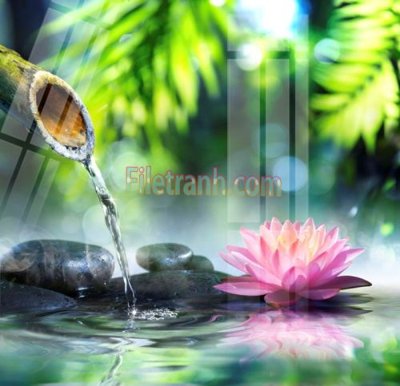 File in ấn Tranh trang trí Spa làm đẹp MP190 chuyên nghiệp