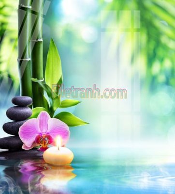 Tải file gốc in lụa Tranh trang trí Spa làm đẹp MP200 siêu nét