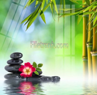 File tranh gốc Tranh trang trí Spa làm đẹp MP204 (bản quyền) file PSD