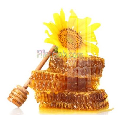 File tranh Tranh trang trí Spa làm đẹp MP213 (gốc) chủ đề thành phố