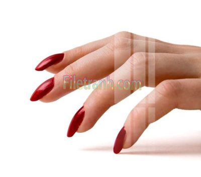 File tranh in trần 3D Tranh trang trí Spa làm đẹp MP242 (ảnh gốc)