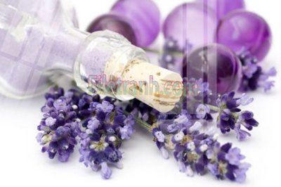 File PSD Tranh trang trí Spa làm đẹp MP257 (bản gốc) độ phân giải cao