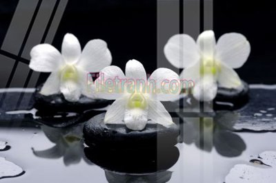 Tải file Tranh trang trí Spa làm đẹp MP366 (PSD) cho in ấn quảng cáo