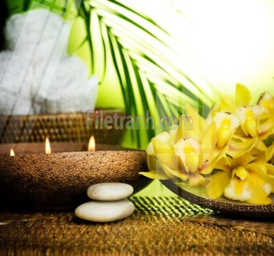 File tranh Tranh trang trí Spa làm đẹp MP408 (bản gốc) in lụa 5D