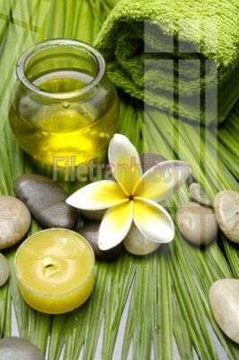 File ảnh Tranh trang trí Spa làm đẹp MP441 (gốc) dùng in Pano