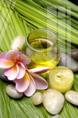 File tranh Tranh trang trí Spa làm đẹp MP483 (ảnh gốc) in trần 3D