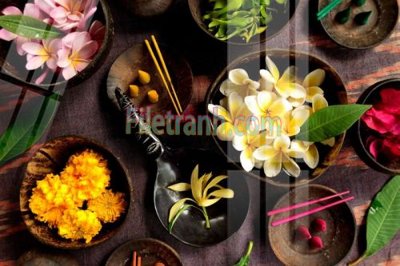 Tải file Tranh trang trí Spa làm đẹp MP521 (gốc) in trên mọi chất liệu