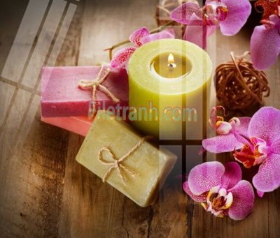 File gốc Tranh trang trí Spa làm đẹp MP561 (ảnh rõ nét) để in