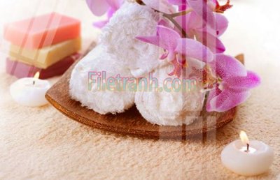 Hình ảnh file gốc Tranh trang trí Spa làm đẹp MP593 (chất lượng cao)