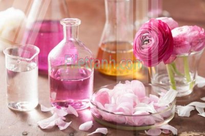 Tệp tin gốc Tranh trang trí Spa làm đẹp MP601 (chất lượng cao) Tranh trang trí Spa làm đẹp MP601