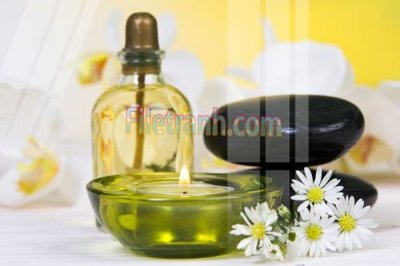 File gốc Tranh trang trí Spa làm đẹp MP638 (cho in UV) siêu nét