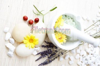 File gốc Tranh trang trí Spa làm đẹp MP645 (thiết kế) cho in ấn