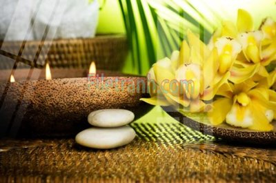 File gốc Tranh trang trí Spa làm đẹp MP646 (in lụa) hoa văn cổ điển