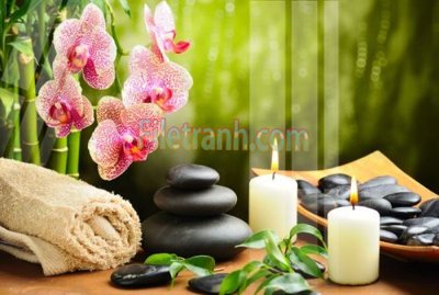 Mua file ảnh gốc Tranh trang trí Spa làm đẹp MP676 (chất lượng cao)