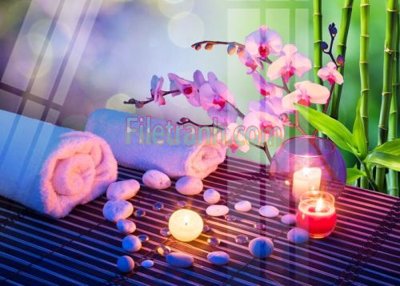 File ảnh Tranh trang trí Spa làm đẹp MP694 (gốc) in quảng cáo ngoài trời