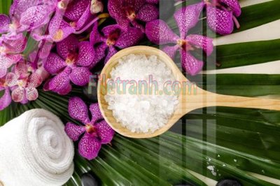 File tranh Tranh trang trí Spa làm đẹp MP736 (file gốc) chuẩn màu in