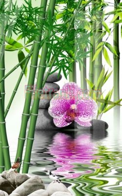 File tranh quảng cáo Tranh trang trí Spa làm đẹp MP749 (download file gốc)