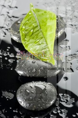 Tải file gốc Tranh trang trí Spa làm đẹp MP762 (bản PSD) chỉnh sửa được