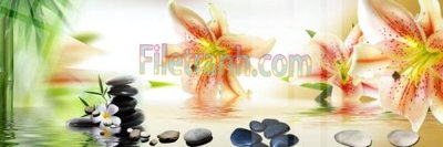 File tranh Tranh trang trí Spa làm đẹp MP844 (ảnh gốc) in trần nhà