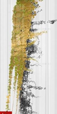 File gốc in tráng gương file tranh bộ decor in treo tường tráng gương OPIC1099 chi tiết