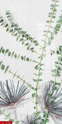 File in ấn cao cấp file tranh bộ decor in treo tường tráng gương OPIC1214 (file gốc)