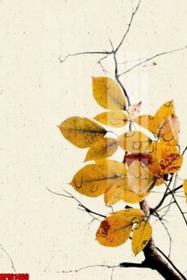 Download file ảnh gốc file tranh bộ decor in treo tường tráng gương OPIC1469 để in ấn