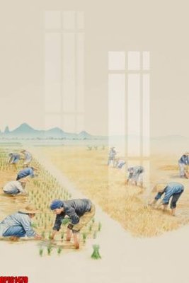 File gốc file tranh bộ decor in treo tường tráng gương OPIC1479 (in mica) trang trí