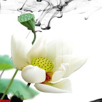 File gốc file tranh bộ decor in treo tường tráng gương OPIC2013 (cho in ấn) từ Filetranh.com