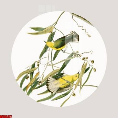 File tranh quảng cáo file tranh bộ decor in treo tường tráng gương OPIC2277 (download file gốc)