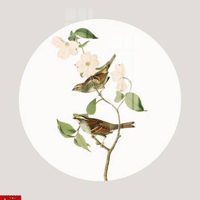 File tranh file tranh bộ decor in treo tường tráng gương OPIC2298 (gốc) phong cách tối giản