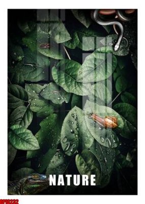 File tranh in trần 3D file tranh bộ decor in treo tường tráng gương OPIC232 (ảnh gốc)