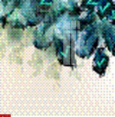 File tranh in trần 3D file tranh bộ decor in treo tường tráng gương OPIC233 (ảnh gốc)