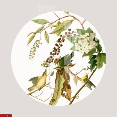 Tải file file tranh bộ decor in treo tường tráng gương OPIC2749 (ảnh gốc) độ phân giải 300dpi