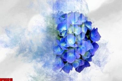 File in mica file tranh bộ decor in treo tường tráng gương OPIC3315 (ảnh gốc) đẹp