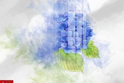 File tranh file tranh bộ decor in treo tường tráng gương OPIC3338 (gốc) in backlit film