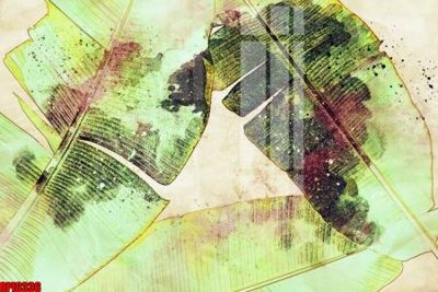 File tranh gốc file tranh bộ decor in treo tường tráng gương OPIC336 (bản đẹp) độc quyền