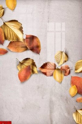 Tải file file tranh bộ decor in treo tường tráng gương OPIC385 (ảnh gốc) in gạch 3D