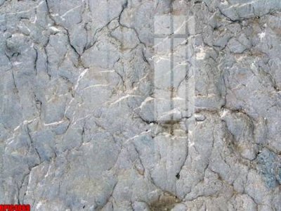 File tranh file tranh bộ decor in treo tường tráng gương OPIC4069 (gốc) in vải canvas