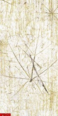 File gốc file tranh bộ decor in treo tường tráng gương OPIC420 (cho in ấn) từ kho Filetranh