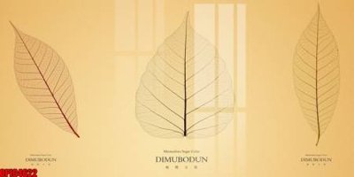 Tải về hình ảnh gốc file tranh bộ decor in treo tường tráng gương OPIC4622 sắc nét