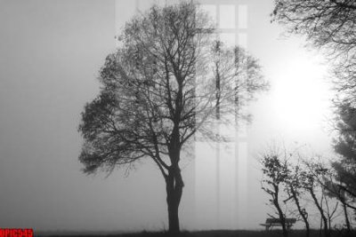 File PSD file tranh bộ decor in treo tường tráng gương OPIC545 (nguyên bản) cho thiết kế