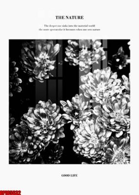 File tranh file tranh bộ decor in treo tường tráng gương OPIC5632 (file gốc) chuẩn màu in