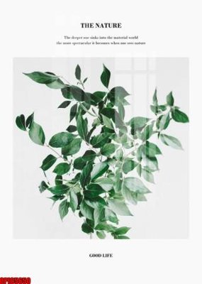 Ảnh gốc file in lụa file tranh bộ decor in treo tường tráng gương OPIC5650 chi tiết