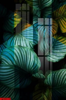 File ảnh gốc file tranh bộ decor in treo tường tráng gương OPIC5865 (chuyên in mica)