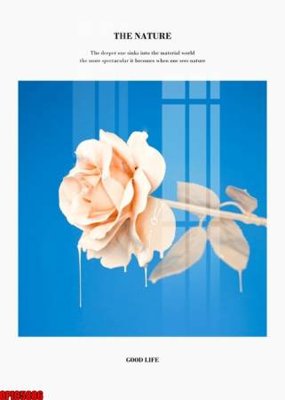 Download file gốc file tranh bộ decor in treo tường tráng gương OPIC5886 (in mica) trong suốt